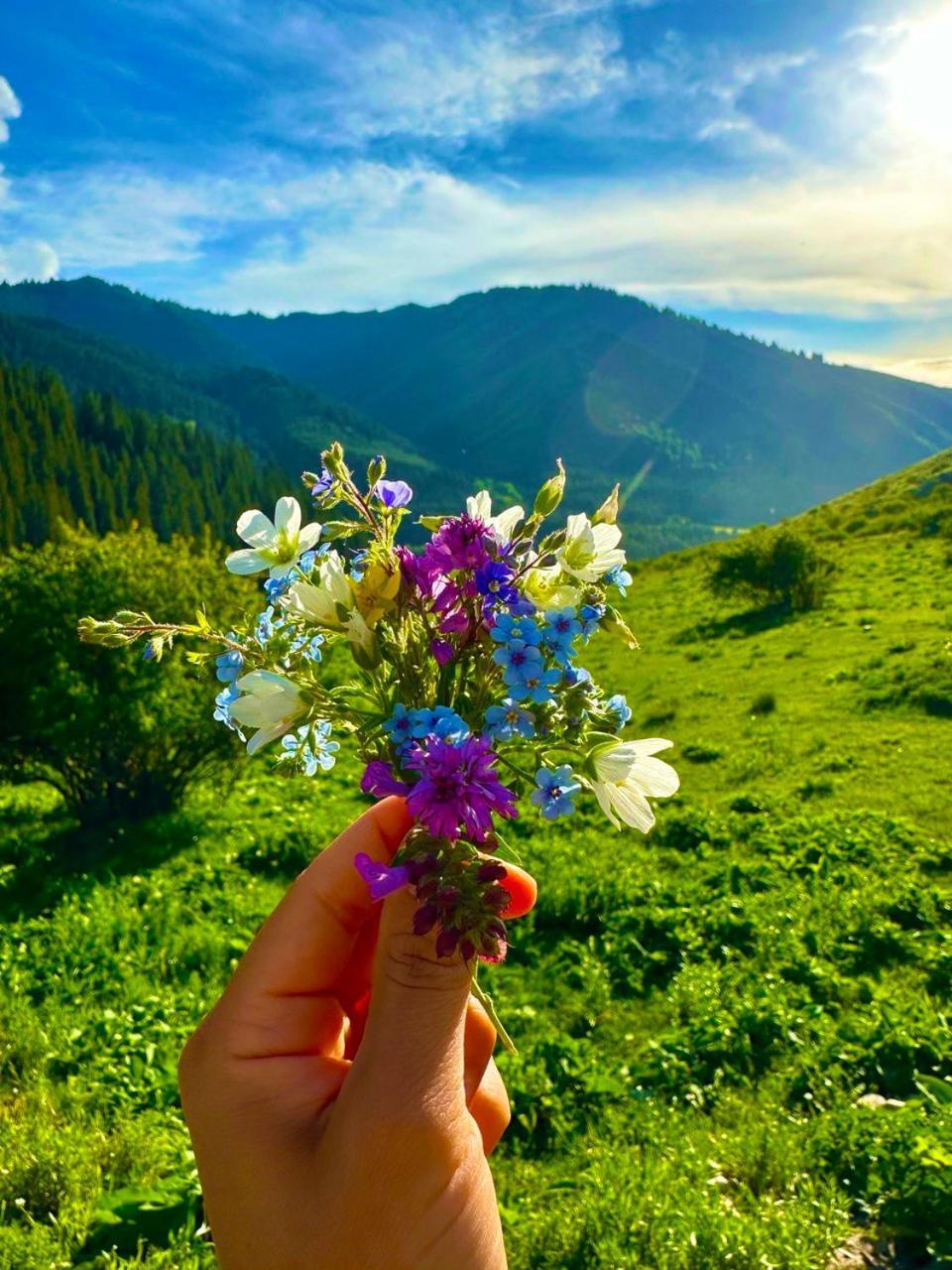 Hotel Gorny Dom Les I Gory Karakol Esterno foto