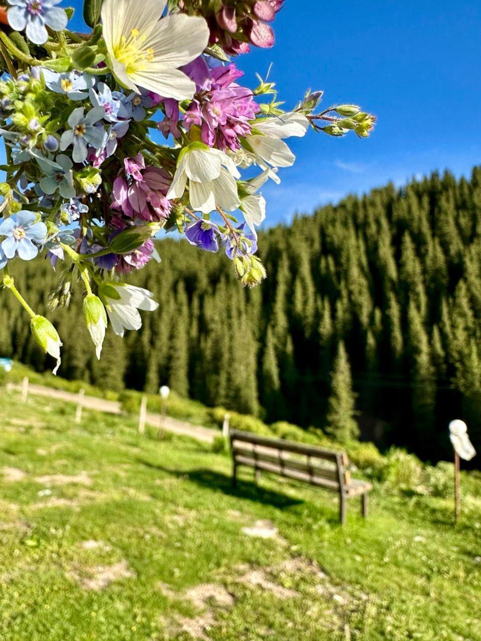 Hotel Gorny Dom Les I Gory Karakol Esterno foto