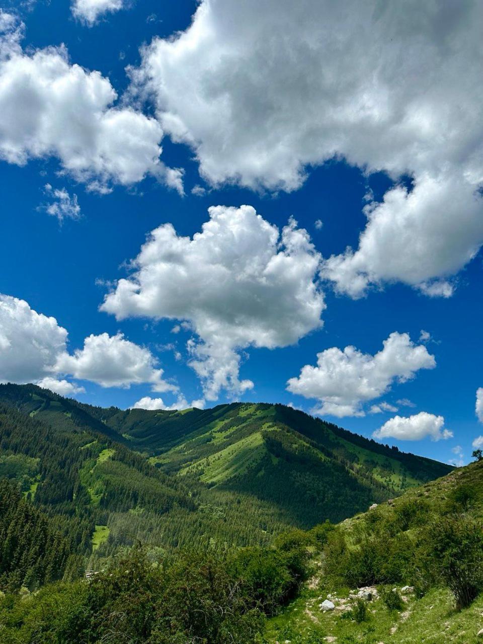 Hotel Gorny Dom Les I Gory Karakol Esterno foto