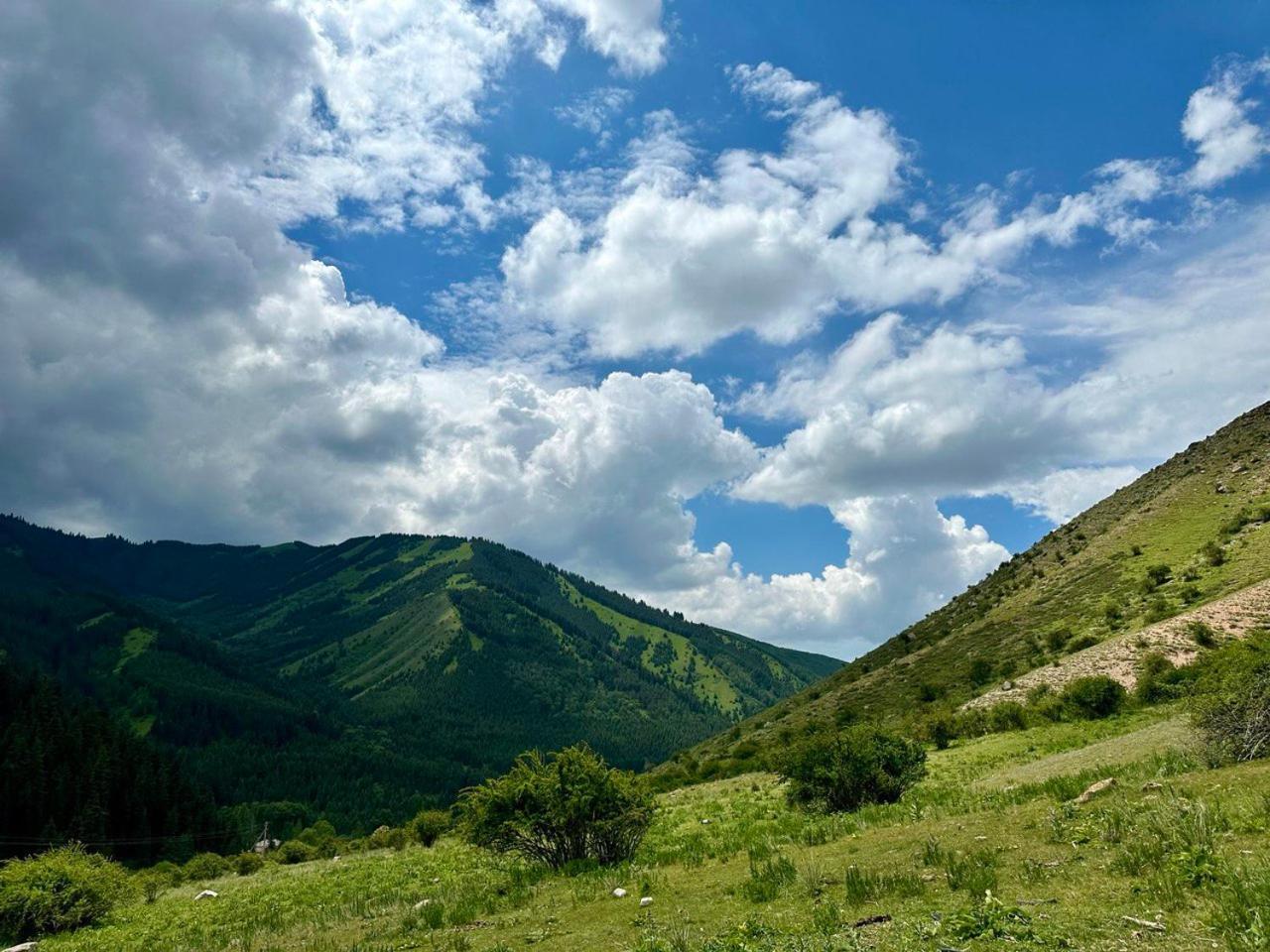 Hotel Gorny Dom Les I Gory Karakol Esterno foto